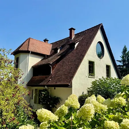 In Den Baeumen Bollschweil