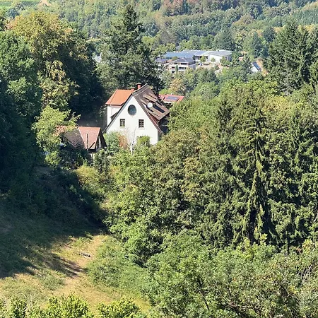 In Den Baeumen アパート Bollschweil