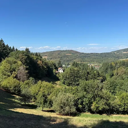 In Den Baeumen * Bollschweil